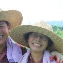 황진농장 이미지