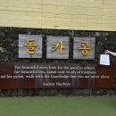 와이에프인터네이션널 | East