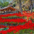 환벽당길 이미지