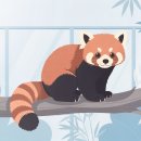 서울대공원 동물원 오픈런 후기! 레서판다 보고 유모차 대여까지