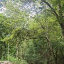 학산아래쉼터 이미지