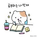 시그니처요가앤필라테스