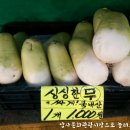 이성열야채 네이버블로그