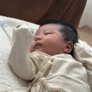 송파 위례 산후도우미 후기, 성남 위례 업체선정 3주 이용후기