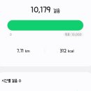 오늘의 운동 이미지