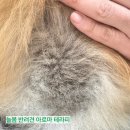 늘봄아로마테라피 이미지