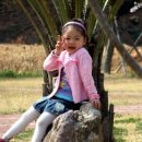 전원새움어린이집 이미지