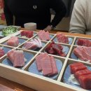 골드참치 이미지