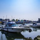 장림포구 이미지