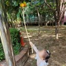 장안현대어린이집 이미지