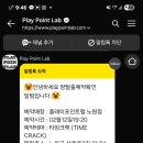 플레이포인트랩