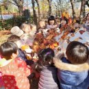 유아숲체험원(1) 이미지