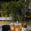 마지막 백수일상과 생일