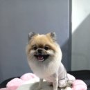 살롱3039 이미지