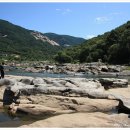 예향의 숲 이미지