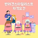 반려견스타일리스트 자격취득과정-기초 | 반려견스타일리스트자격요건 제대로 알아보고 준비하자