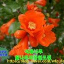 비봉슈퍼 이미지