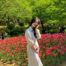 광호주유소 | 연희숲속쉼터 가는길 안산허브원 튤립 폭포 위치(주차)