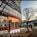 목동 동물병원 이미지