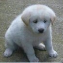 뚱땅뚱땅 이미지