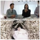 조세호 효민 결혼식 후기 권은비 올해 벚꽃 다 봤다