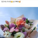 모닝글로리사동