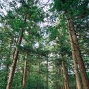 NR-30[무설로]-상-277 | 내소사