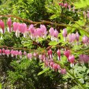 능골농장 이미지