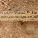 전원1단지어린이공원 이미지