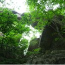 7월 넷째주 숨어있는 **보석 화천의 번암산**에 회원님들과 함께 합니다 이미지