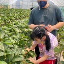 봄이네 농장 이미지