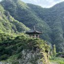 세종금남치과의원 이미지