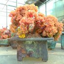 상학농장 이미지