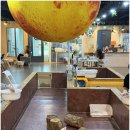 차차래빗 이미지