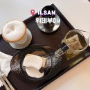 일산동구 백마역 카페 휘데부아 조용한 분위기 추천