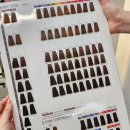 새서울미용실 | 명동 미용실 아르결 명동점｜톤다운 전체염색, 현서 디자이너 후기🧜‍♀️