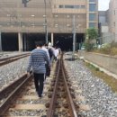 선 인력 이미지