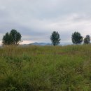 강가로 나선 아침 산책 이미지