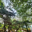 진심어린이집 이미지