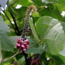 용장3리 이미지