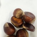 안산테콤길 이미지