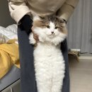 쿠니