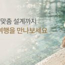 솔로몬여행사