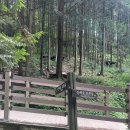 완주 편백숲 관광안내소 이미지