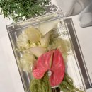 리미드 | 카라 안스리움 부케 클레르 부케 액자 제작후기│안양 군포 부케말리기 리미드포레