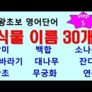 영어로 식물 이름 30개 배우기 이미지