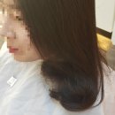 스테프라인업