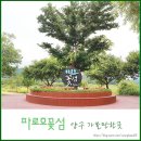 한반도의 중심 양구를 찾아서(테마트레킹) 이미지