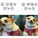 토박이숯불갈비 이미지