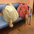 풍경동물병원 이미지